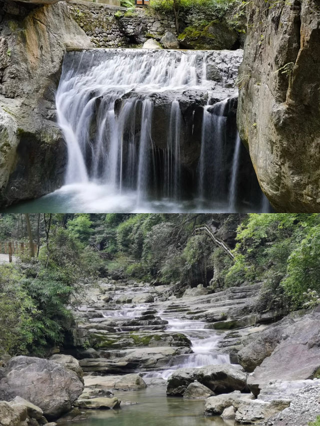 赴一場三峽竹海之約，邂逅詩意山水