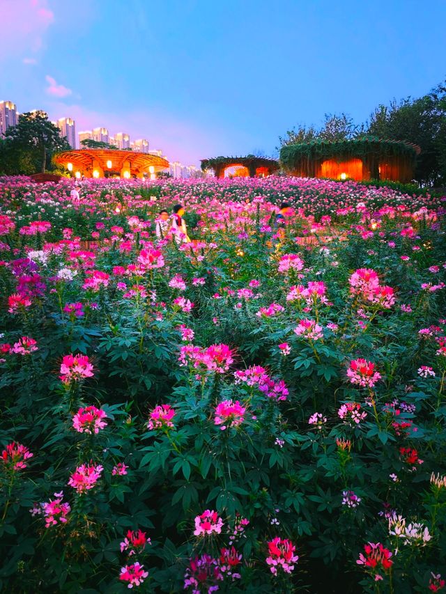 闖進莫奈花園的仲夏夜之夢