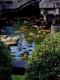 蘇州-無錫2日遊 玩轉雙城不重樣必收藏攻略