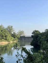 湖光樹影：黑沙水庫的自然絮語