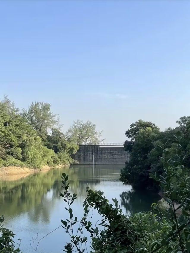 湖光樹影：黑沙水庫的自然絮語