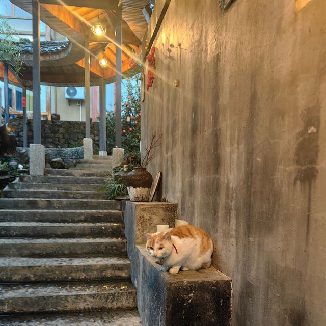尋找徽州下一個旅行目的地，休寧金龍山