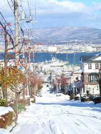 日本7日遊 玩轉經典不留遺憾