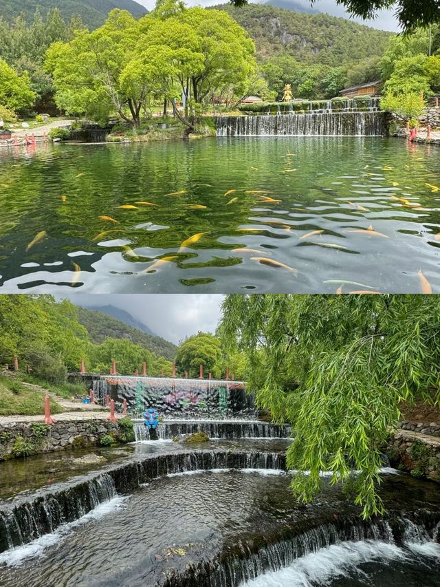 麗江秘境：玉水寨嘅自然同人文之美