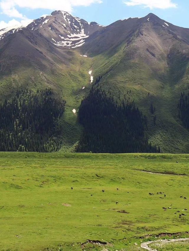 讓老友們瘋狂的阿勒泰地區等地旅遊攻略 你get了嗎