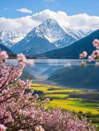 去有花盛開的地方，欣賞山川之美