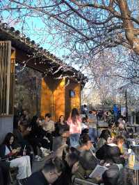 三里河公園！明年我一定會再來！