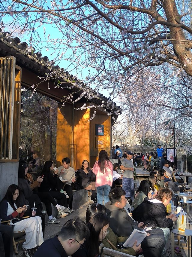三里河公園！明年我一定會再來！