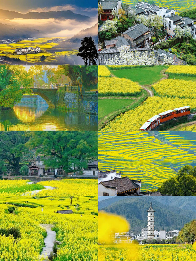 剛從婺源回來，說點大實話！保姆級旅遊攻略