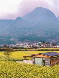 興義萬峰林油菜花不可錯過春日花海