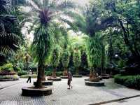 Guilin Botanical Garden: A Verdant Paradise