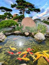 一草一木，一石一魚，仙氣飄飄