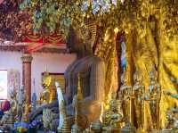 西雙版納總佛寺的簡介、旅遊攻略及避坑指南：