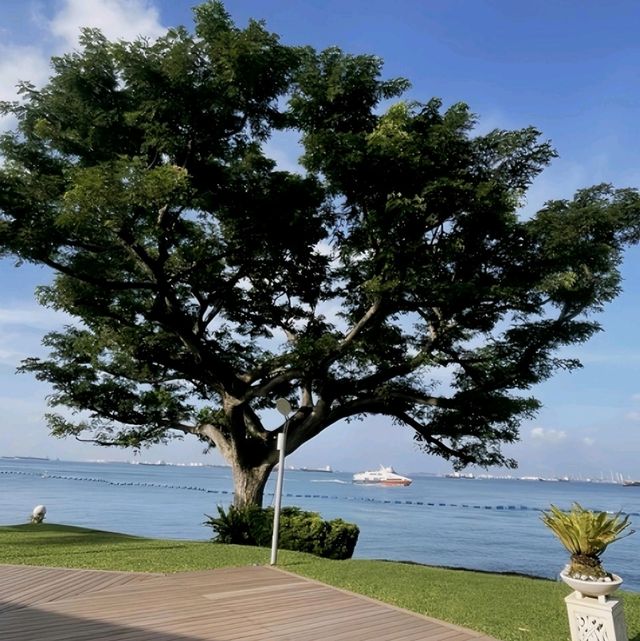 近海灘🌊新加坡聖淘沙香格里拉