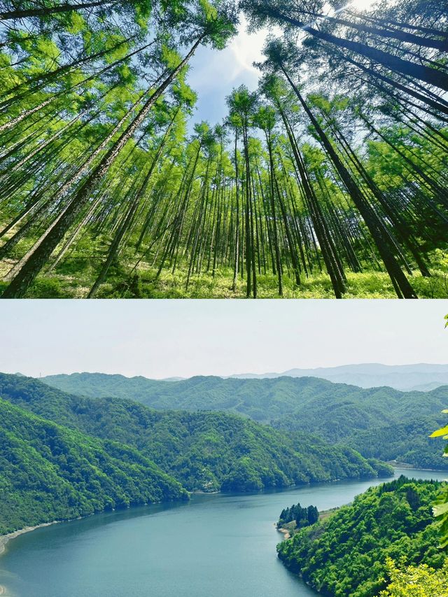 沈陽出發1小時｜森林徒步撫順大龍灣