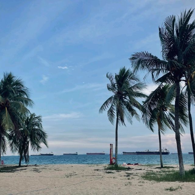 新加坡旅行避雷指南！這些秘境連本地人都在私藏🌴 