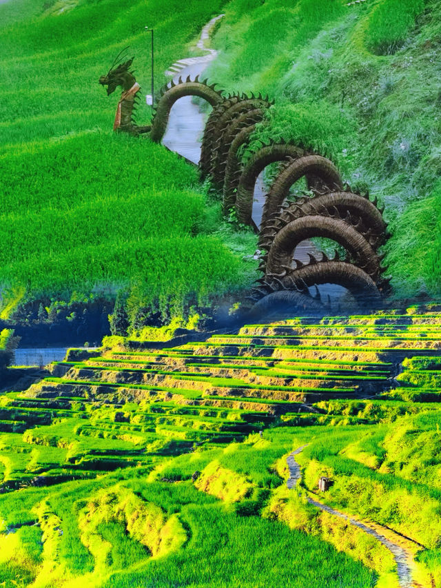 點解攝影師都咁鍾意雲和梯田？ 揭秘最佳拍攝機位&時間！