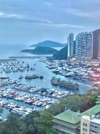 🌟 寵物友善新體驗！香港雅格酒店The Arca，毛孩專屬的五星級假期🌟