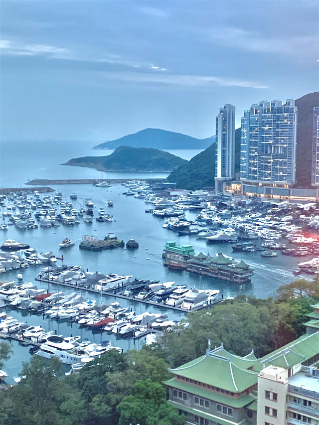 🌟 寵物友善新體驗！香港雅格酒店The Arca，毛孩專屬的五星級假期🌟