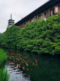 真如寺：鬧市中的千年禪意秘境
