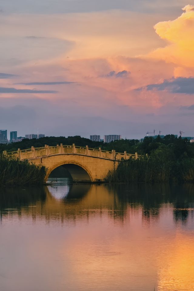 杭州水博園道谷酒店：都市中的詩意桃源