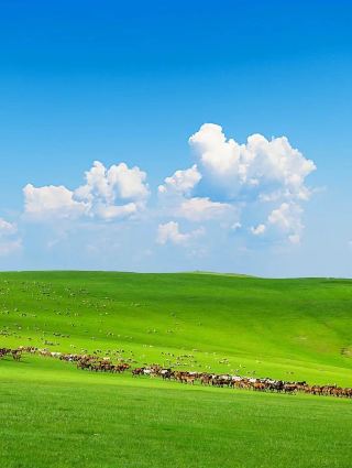 6-Day 5-Night Hidden Gems Route in Hulunbuir