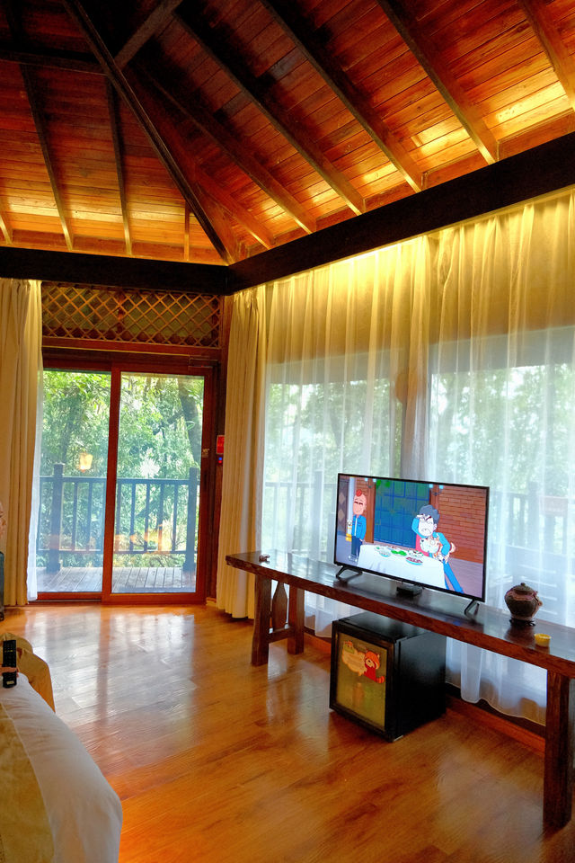 普洱小熊貓莊園｜同小朋友一齊入住人生必住酒店！