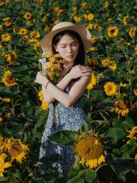 一秒走進梵高畫框！🌻西麗湖向日葵花海拍大片攻略來啦～