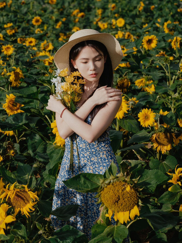 一秒走進梵高畫框！🌻西麗湖向日葵花海拍大片攻略來啦～