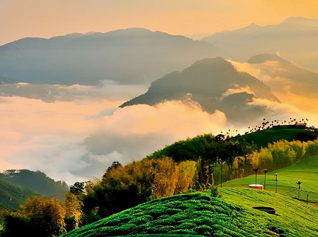 阿里山景點攻略