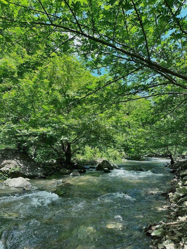 邂逅樂清 | 解鎖小眾寶藏旅行地