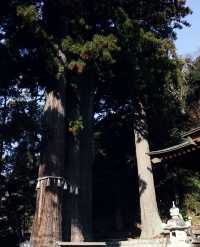 伊豆半島的寶藏靜謐小鎮——修善寺