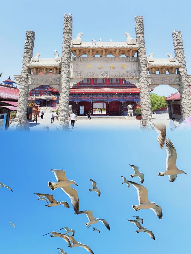 《八仙過海：點樣玩轉仙境？攻略喺度！》 