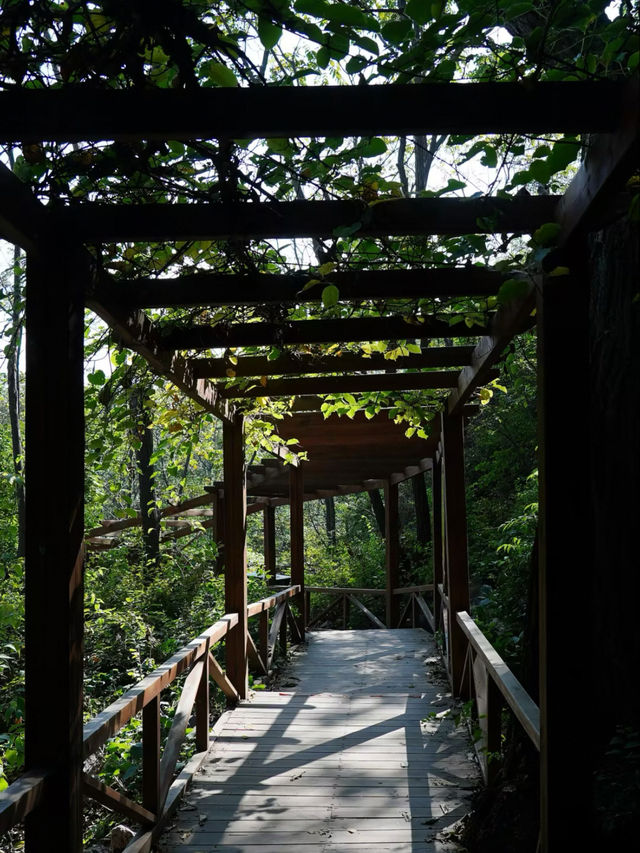Dalinggou hiking trails 