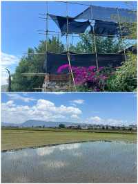 第一次去大理，直接複製呢條路線