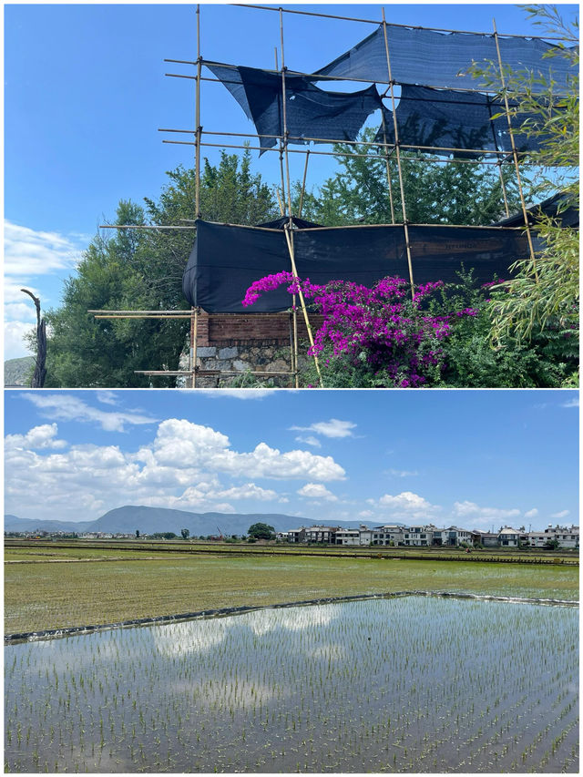 第一次去大理，直接複製呢條路線