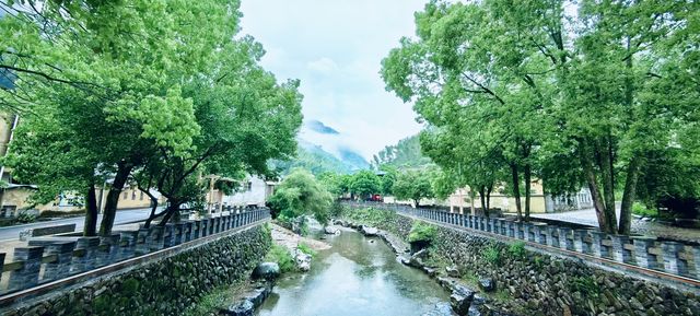 舉淤口偶遇：一場雨將村落洗成了詩的模樣