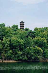 深圳坪山13個必去遊玩景點推薦！建議收藏！