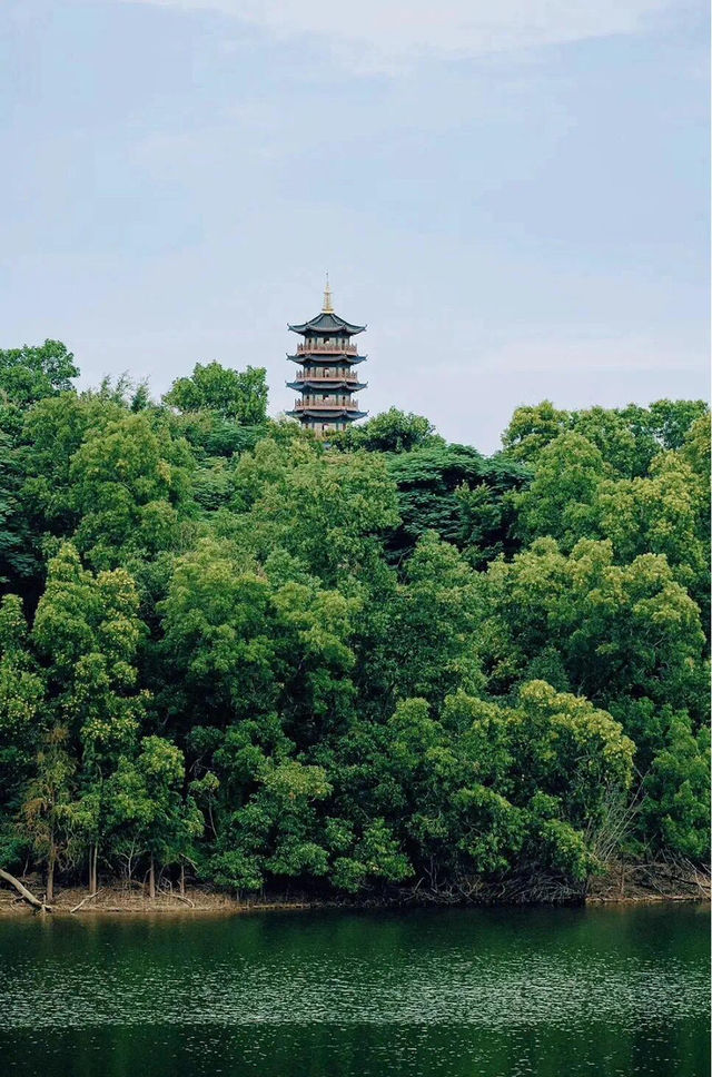 深圳坪山13個必去遊玩景點推薦！建議收藏！