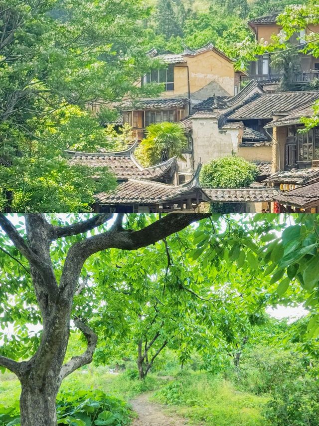 屏南自由行指南交通、景點、美食一鍵get