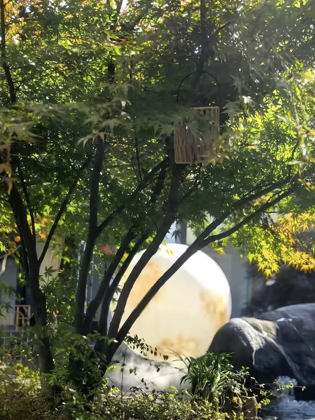 南京秘境｜青龍山莊深度探店