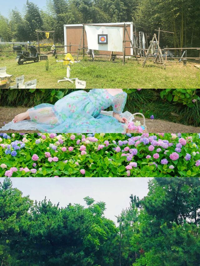 揚州六月太驚艷啦！被呢片花海治癒