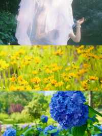 揚州，住進繡球花海同森林包圍嘅莊園