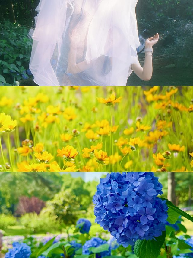 揚州，住進繡球花海同森林包圍嘅莊園