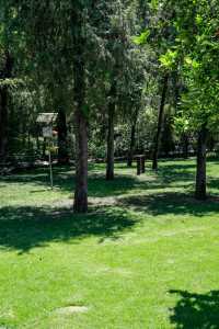 放工後帶小朋友去碧沙崗公園散步最適合