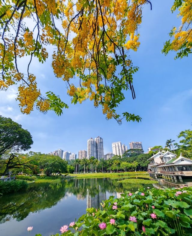 中山公園賞花奇遇！錦江之星品尚酒店畀你超暖心體驗！