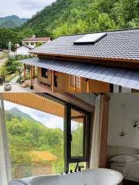 杏林山居