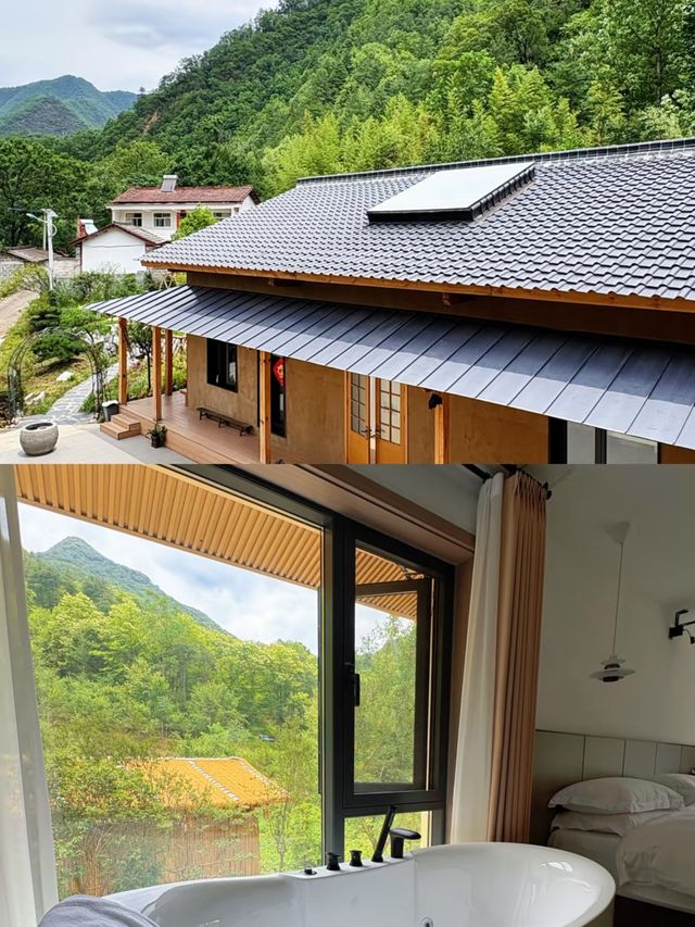 杏林山居