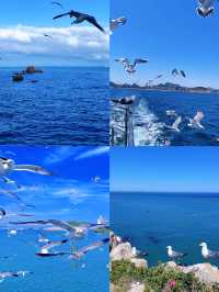 私藏嘅神仙小城榮成！海鮮任食、海草房超治癒