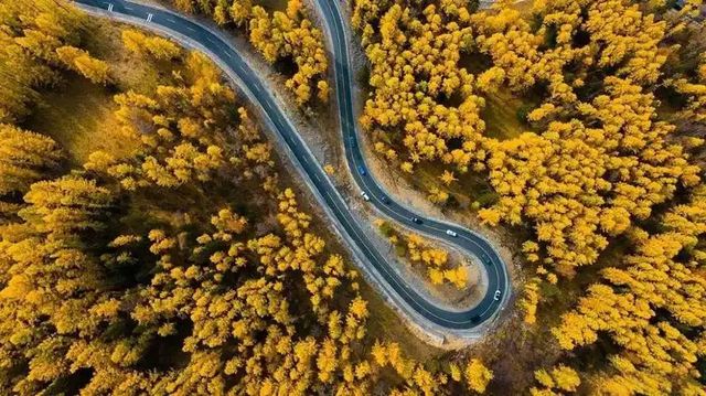 自駕新疆阿禾公路｜闖入宮崎駿嘅漫畫世界